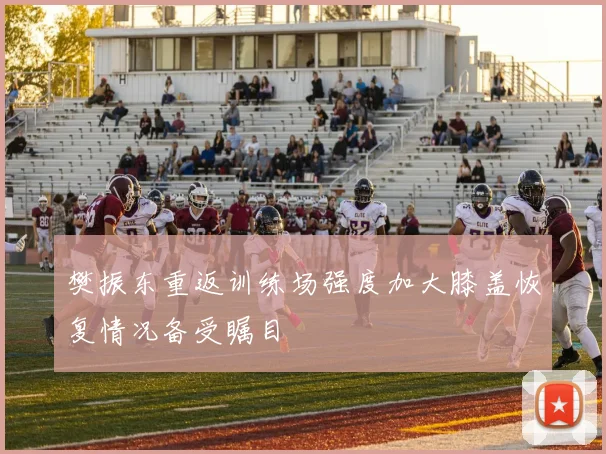 樊振东重返训练场强度加大膝盖恢复情况备受瞩目