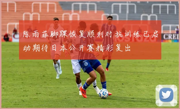 陈雨菲脚踝恢复顺利对抗训练已启动期待日本公开赛精彩复出